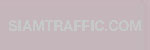 Master Tint : Paint for concrete and asphalt No. 114