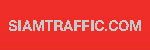 Special Tint Solid : Paint for concrete and asphalt No. 5110