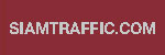 Special Tint Solid : Paint for concrete and asphalt No. 6601