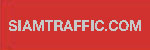 Special Tint Solid : Paint for concrete and asphalt No. 8401