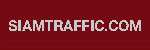Special Tint Solid : Paint for concrete and asphalt No. 8501
