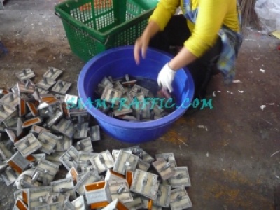 13KatEye